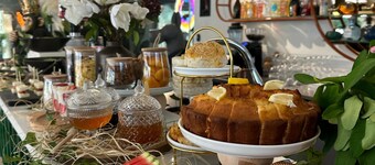 Luff Living Adult Only (+12)