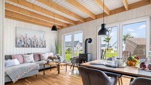 Televisión, chimenea y videoteca