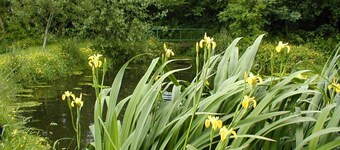 Glascoed Farmhouse, Whitland
