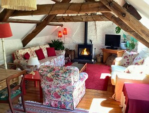 Kamin, DVD-Player, Stereoanlage