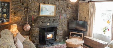 Fireplace, DVD player, books