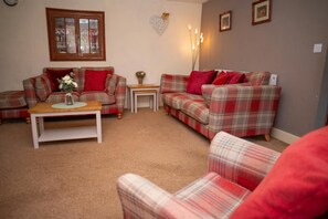 مدفأة، مشغل دي في دي