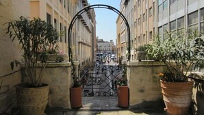 Un carrer estret amb una reixa de ferro, flanquejat per edificis amb balcons i plantes en testos.