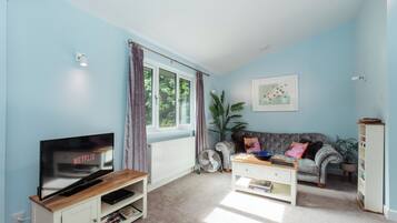 Télévision à écran plat