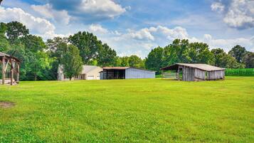 Nhà (3 Bedrooms) | Nội thất