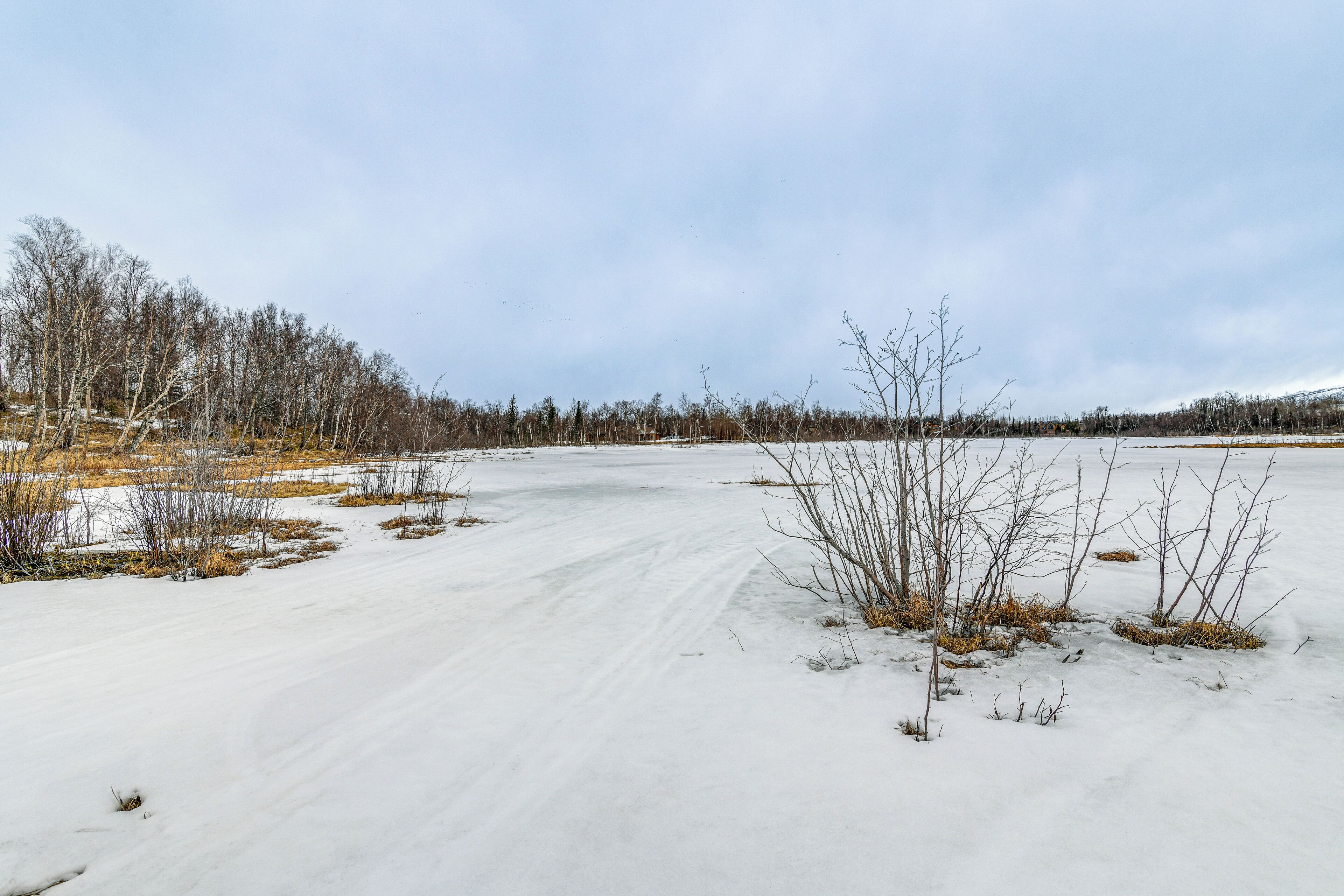A snowy landscape with a frozen lake, leafless trees, and a clear sky.