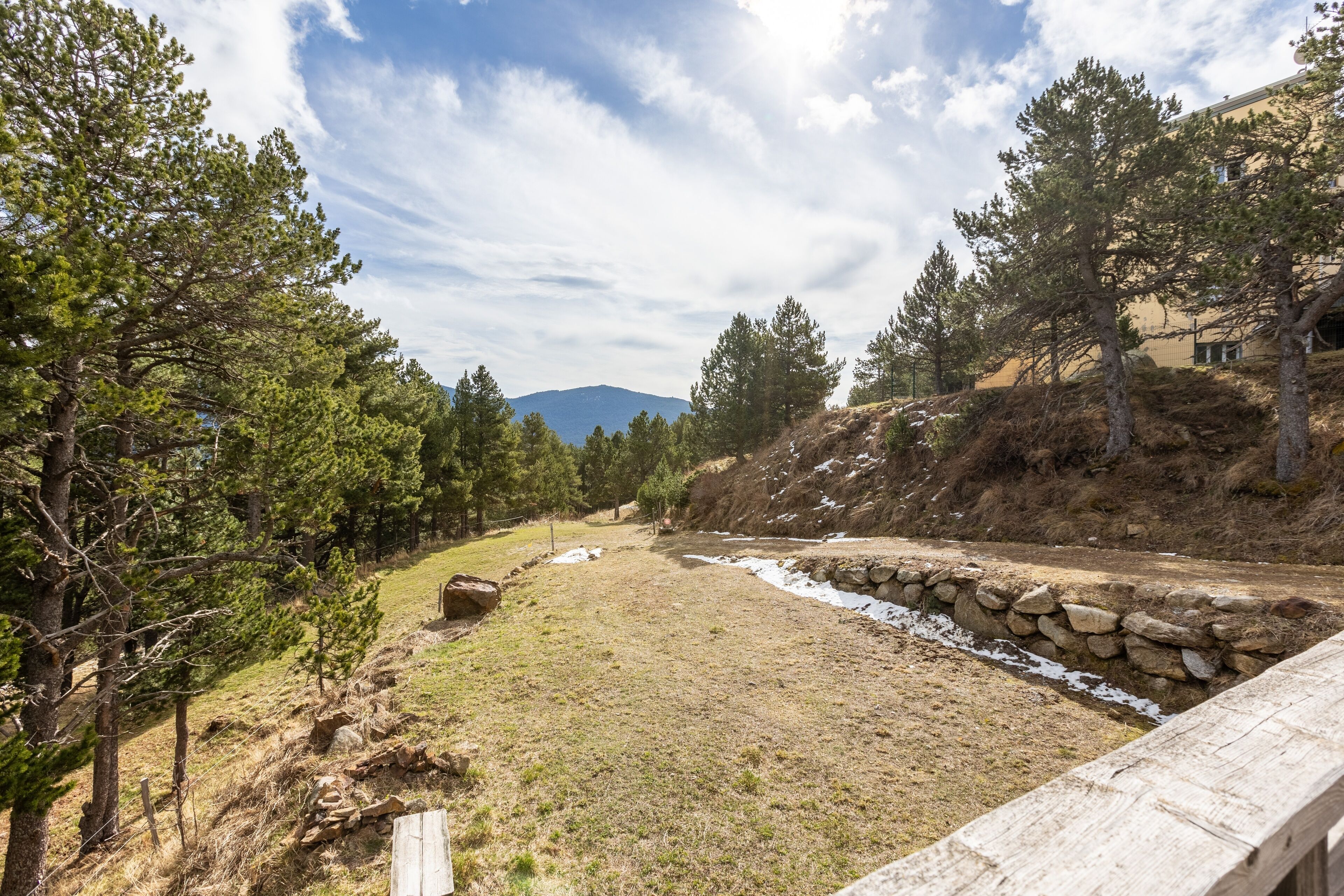 A natural landscape with a stone wall, grassy area, and trees.