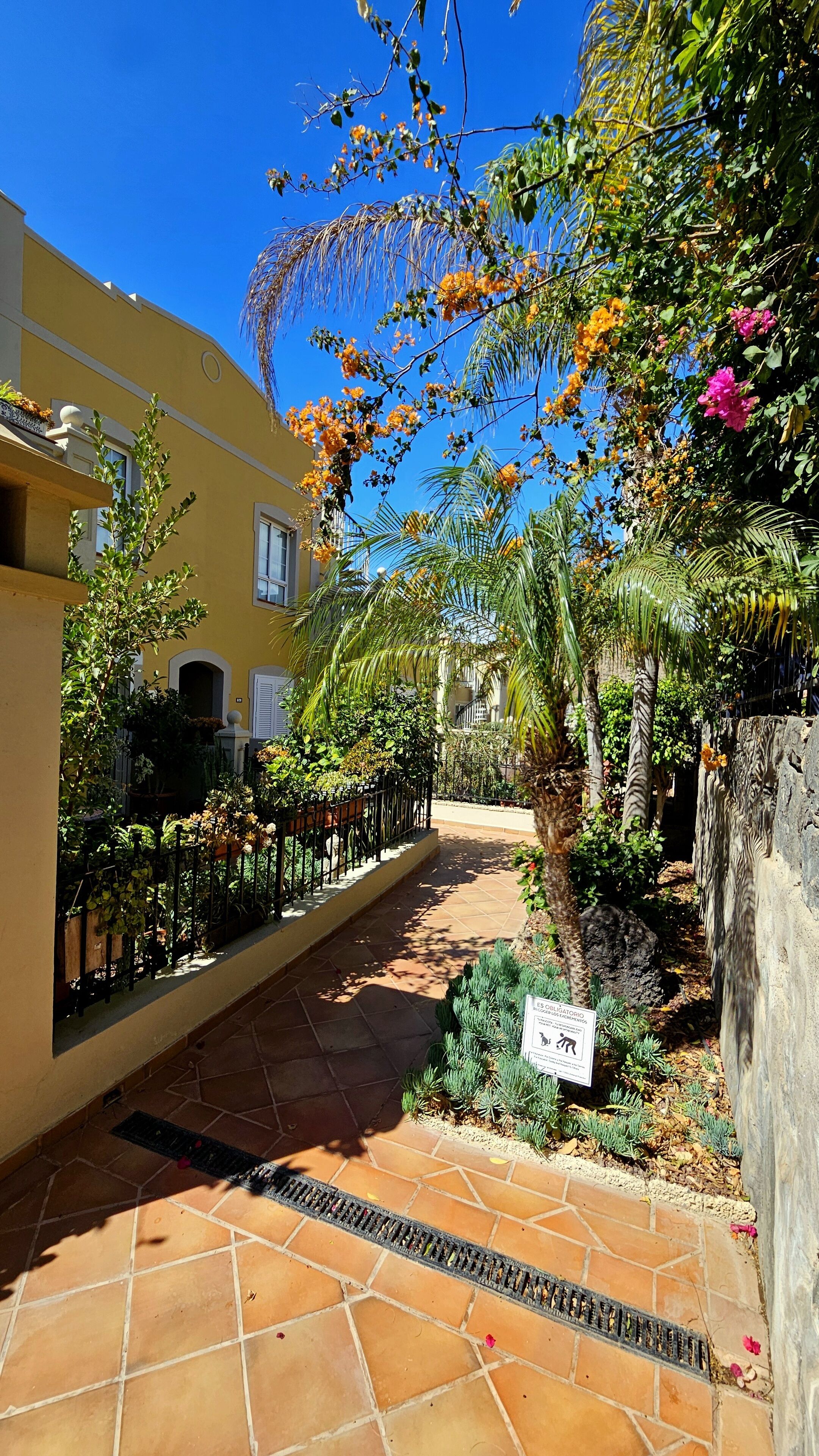 A courtyard with a tiled floor, a metal fence, and a variety of plants and flowers.