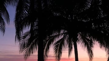 Serviettes de plage