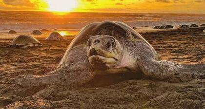 Studio Gitana steps away from Surf Yoga & Dining