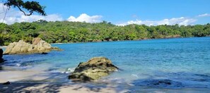 Camastros y toallas de playa