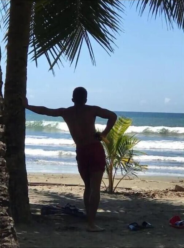 Chaises longues, serviettes de plage