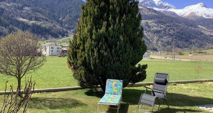 Sunny 2.5-room flat in a quiet location