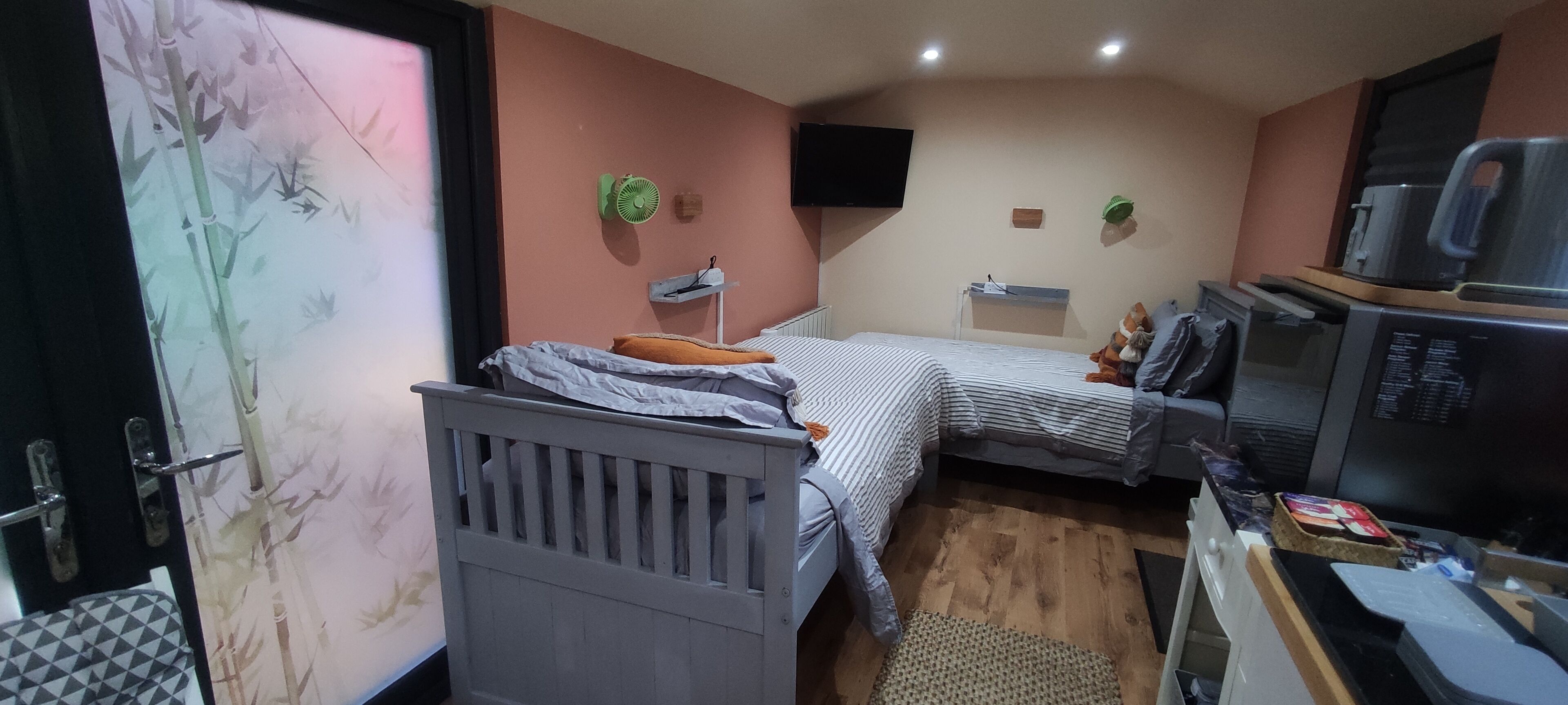 A compact room with two beds, a television, a microwave, and a small kitchen area.