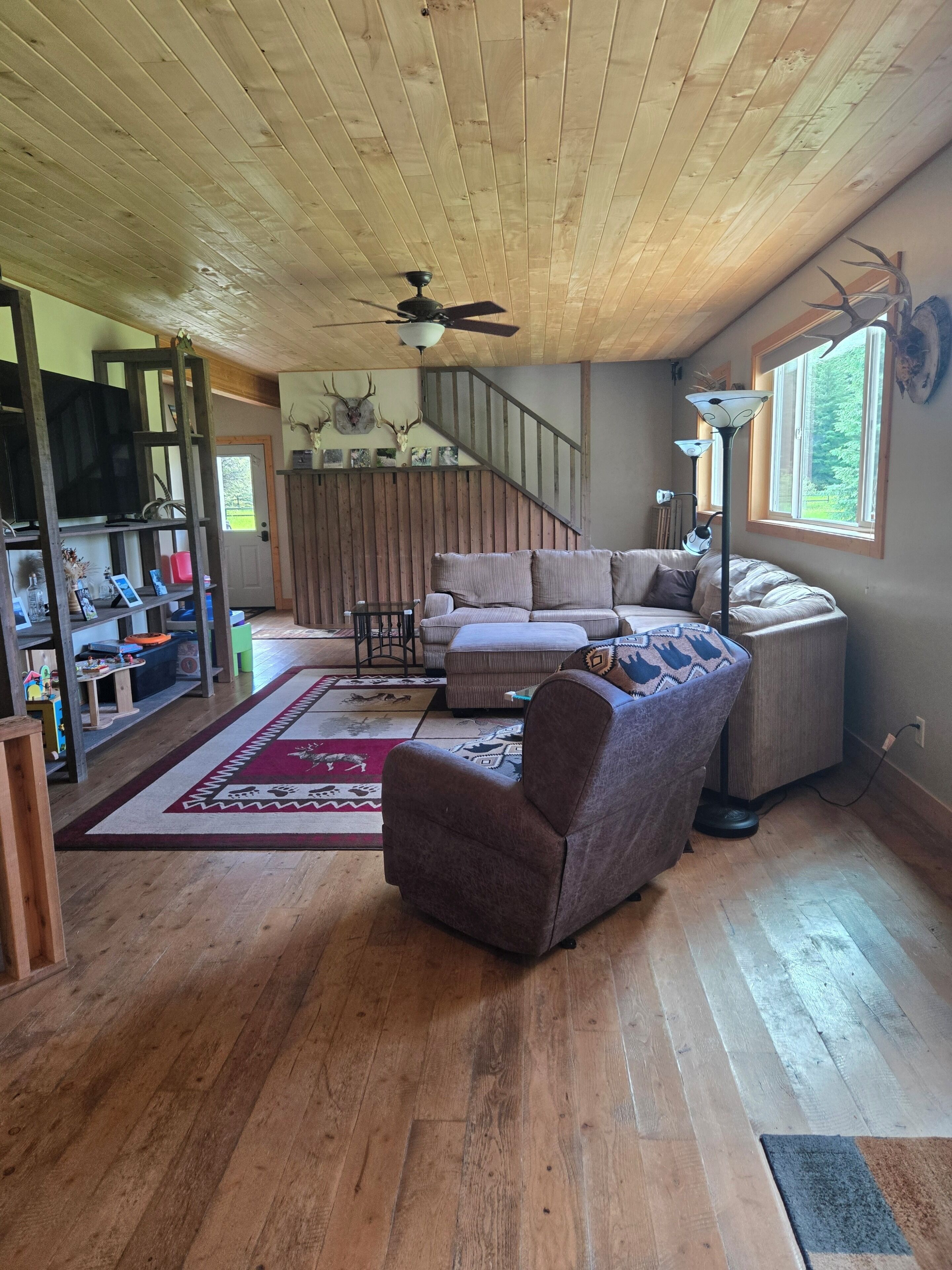Smart TV, fireplace, DVD player, books
