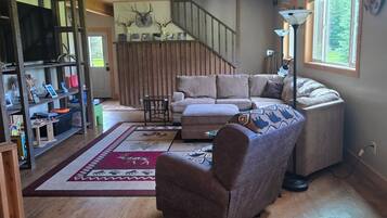 Smart TV, fireplace, DVD player, books