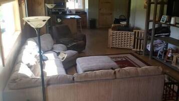 Smart TV, fireplace, DVD player, books