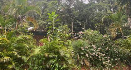 Salute Nas Montanhas