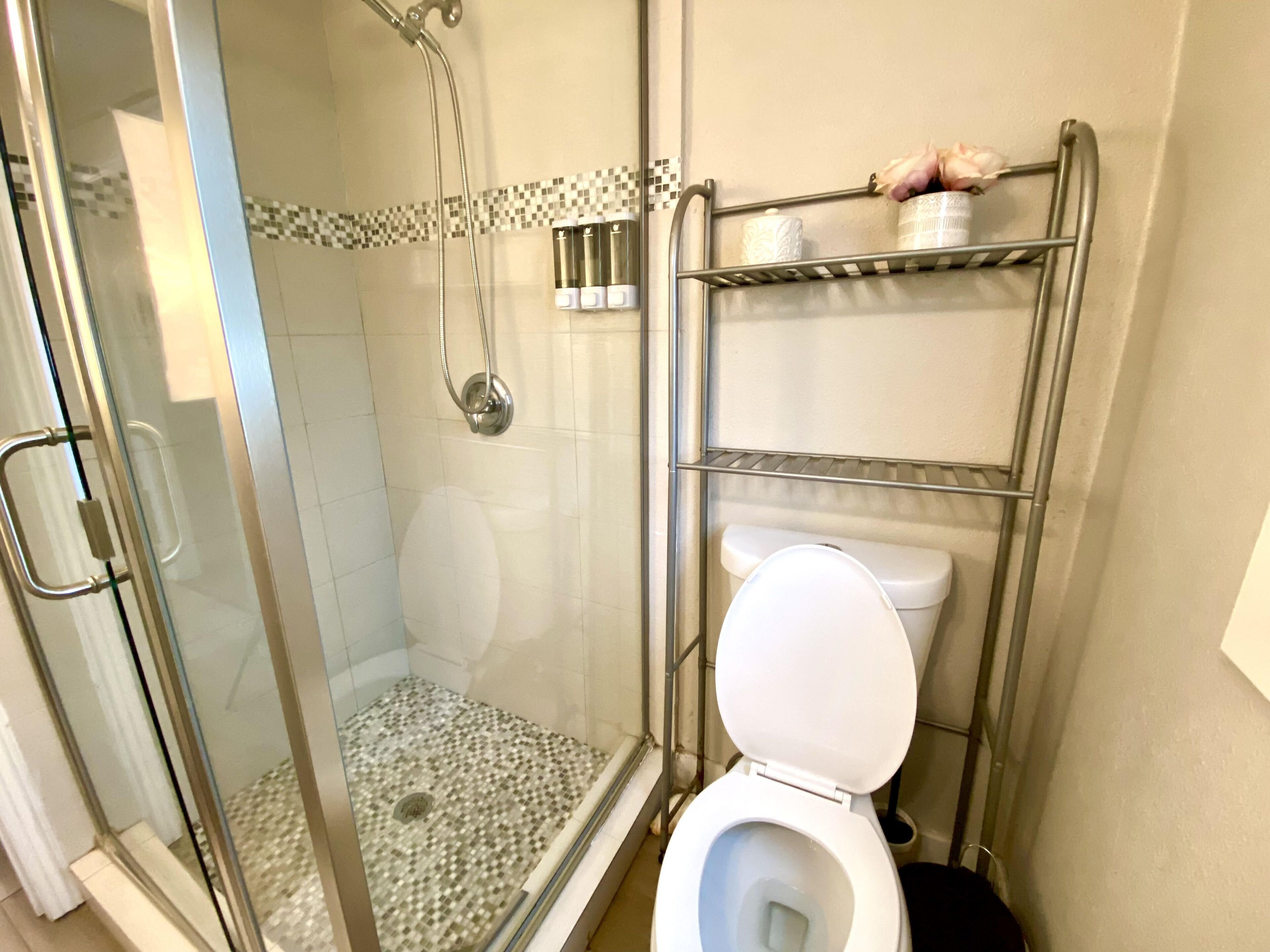 Downtown Oasis - Remodeled, Big Great Room, Stylish, Parking