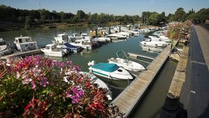 A marina with several boats docked along a wooden pier.