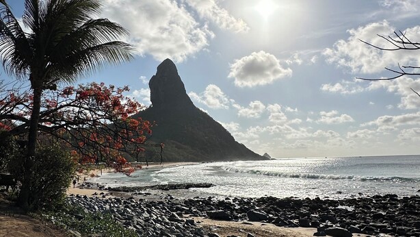 A rocky beach with a palm tree and a mountain in the background. - Pousada Shalon Adonai Noronha (Fernando de Noronha)