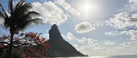 Beach nearby, white sand