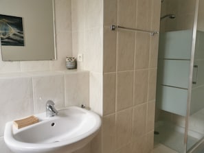 Shower, hair dryer, towels