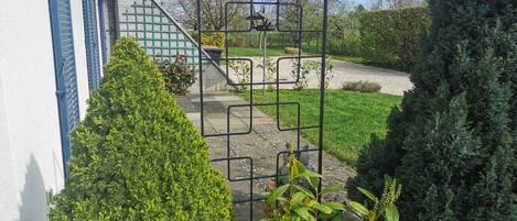 A residential garden with a metal gate, a staircase, and well-maintained hedges.
