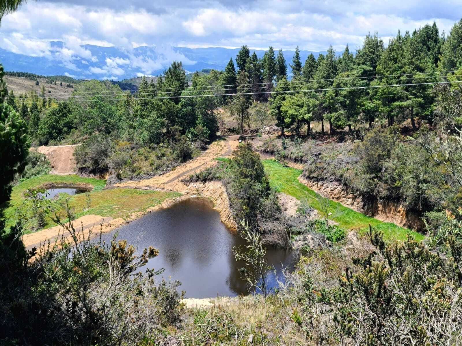 A natural landscape with a pond, trees, and a mountain range in the background.