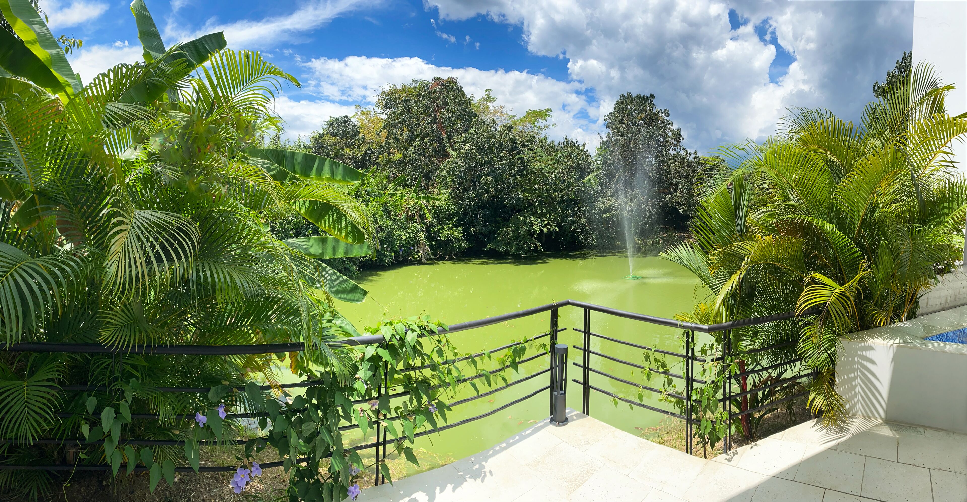 A lush garden with a fountain, surrounded by dense foliage and a clear sky.