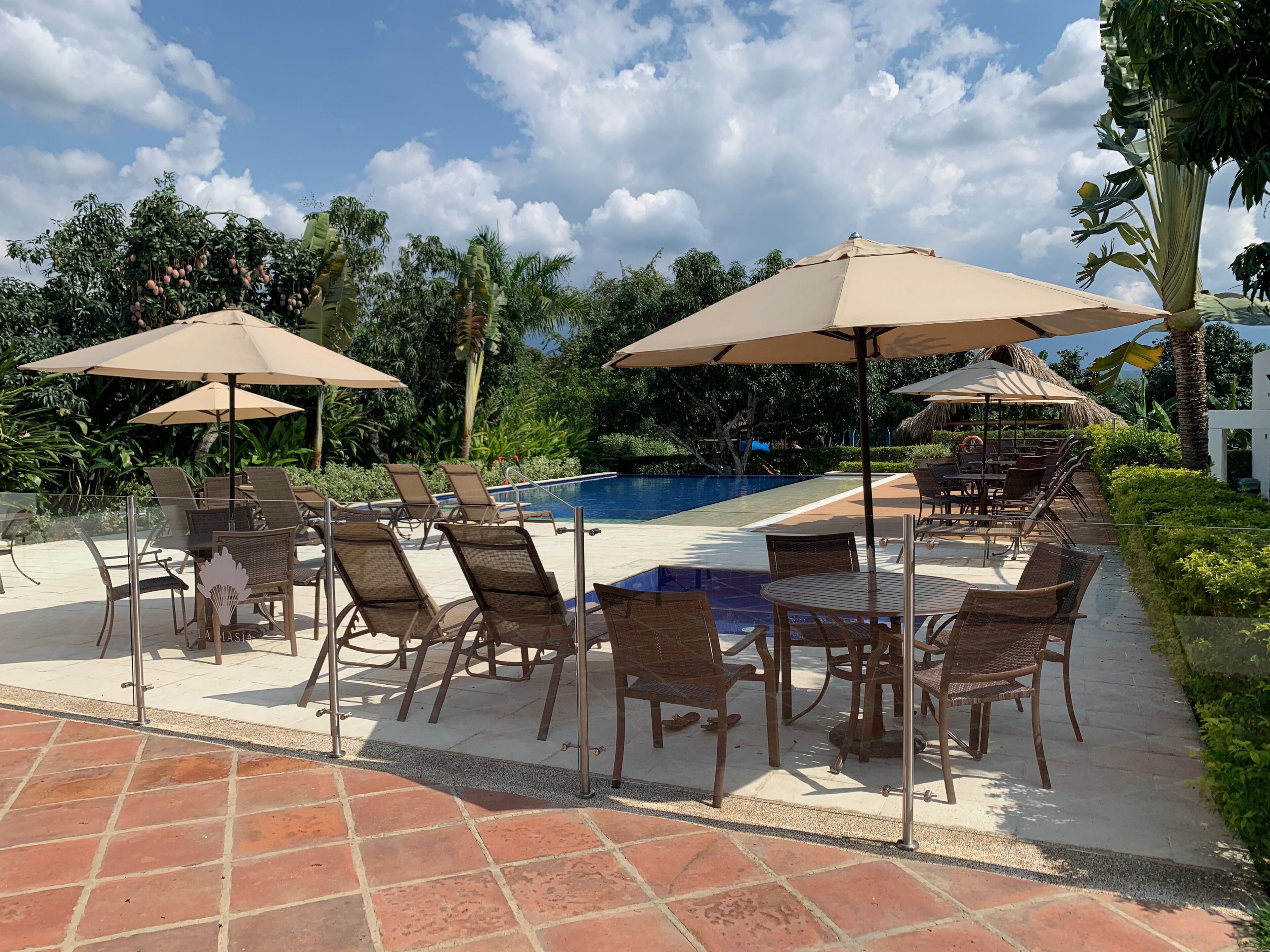 A poolside area with lounge chairs and umbrellas, a swimming pool, and lush greenery.