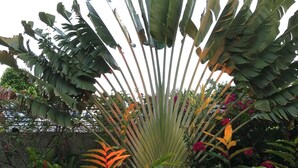A table set for a meal with a floral centerpiece, surrounded by lush tropical plants. - LA MASIA HOTEL BOUTIQUE (Anapoima)