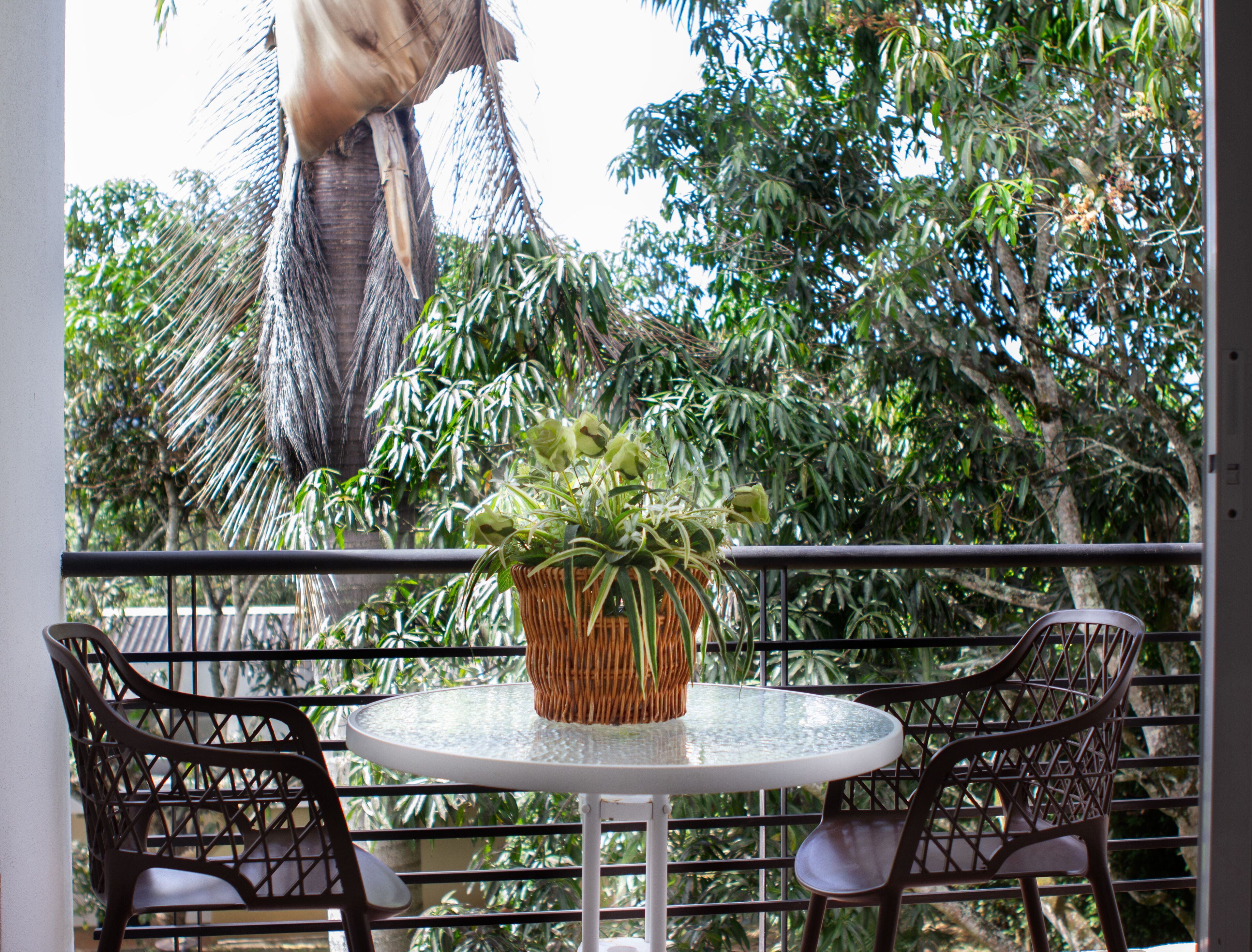 A round table with two chairs, a wicker plant, and a view of dense foliage and a palm tree.