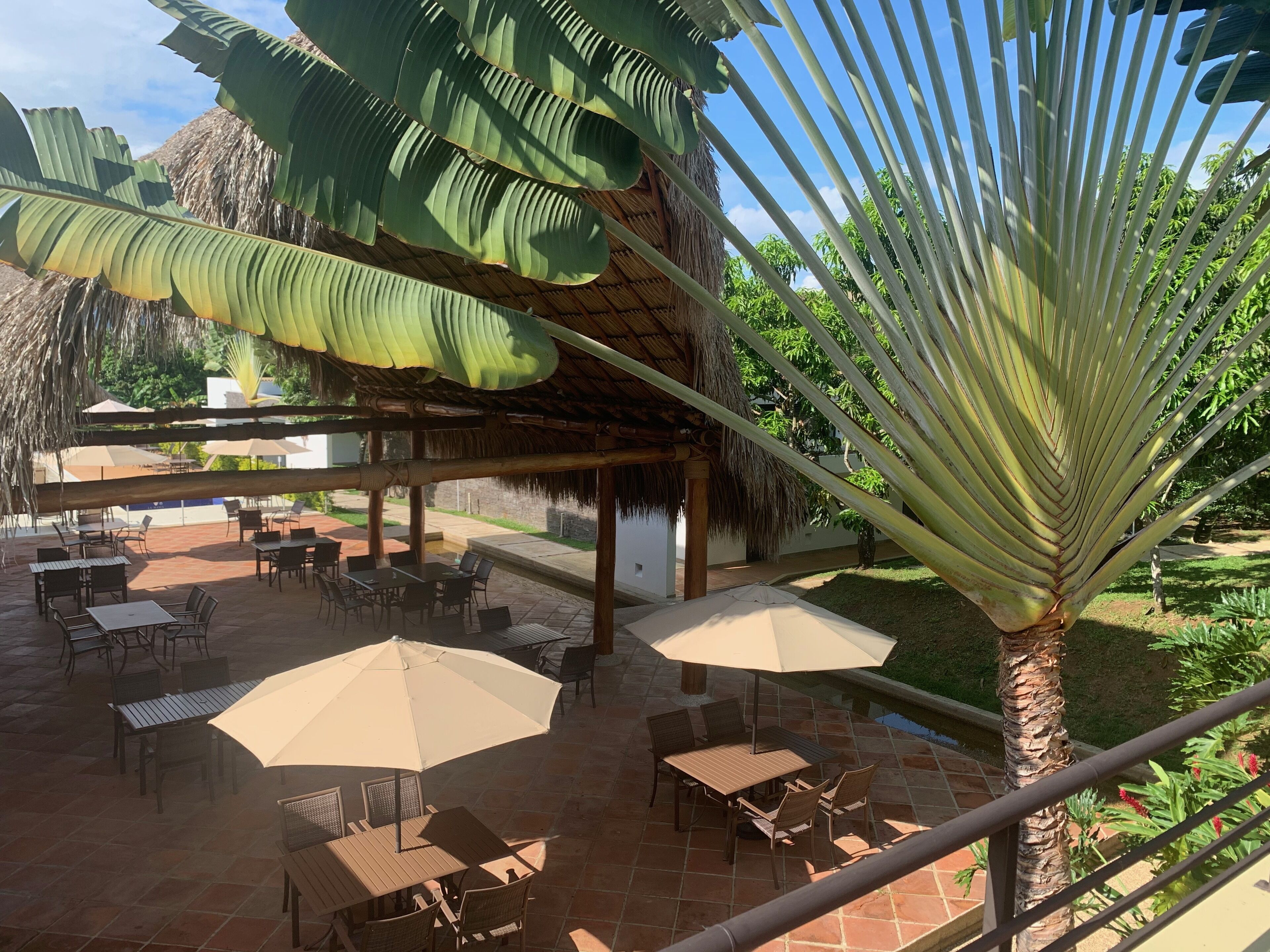 An outdoor patio area with tables and chairs, a thatched roof structure, and a palm tree.