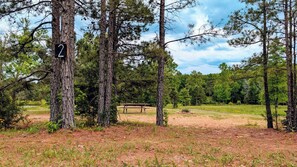 Property grounds - Tent Site #2 Near Pond at Ouachita Campground at Edendell (Oden)