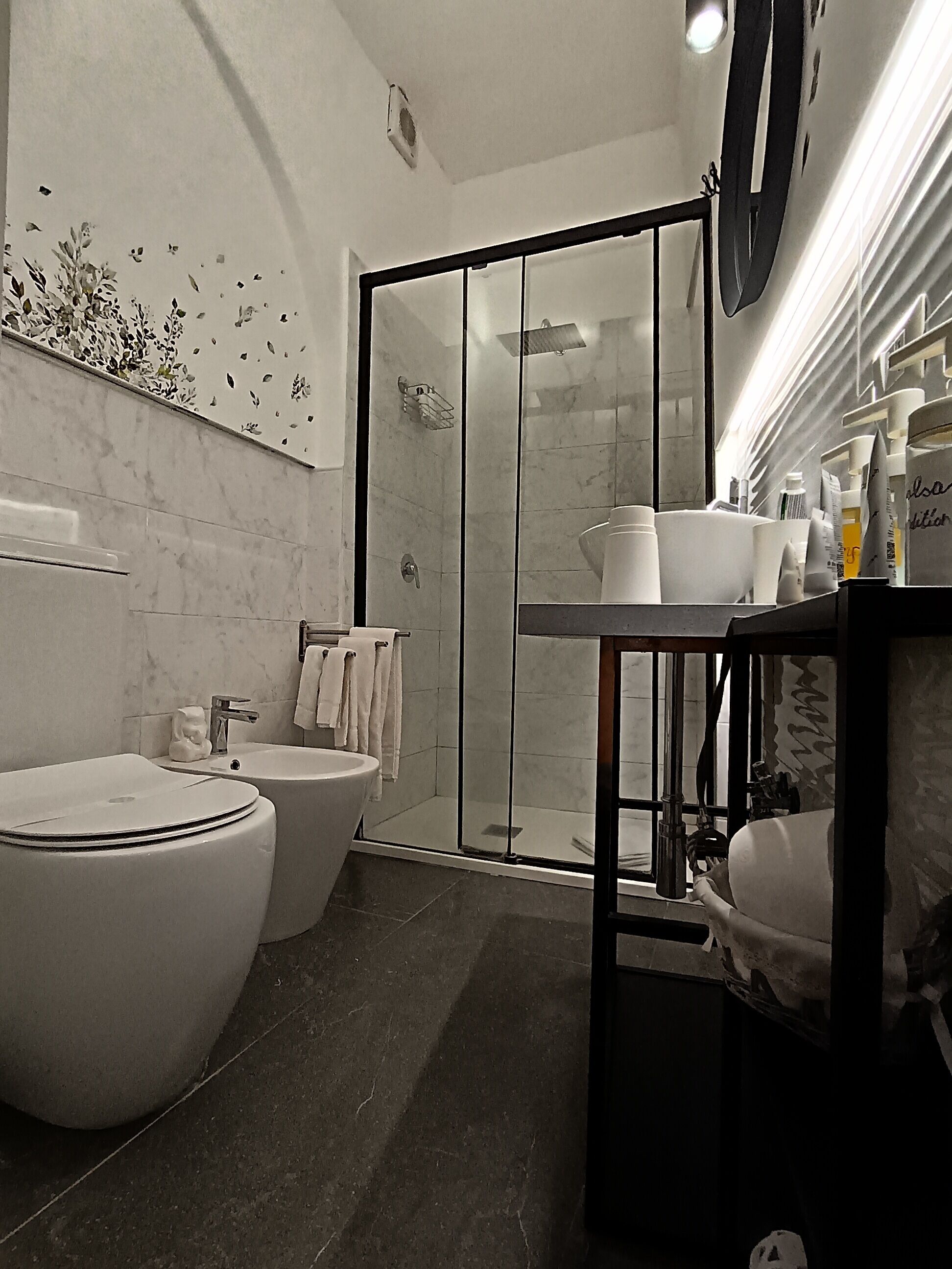 Shower, hair dryer, bidet, towels