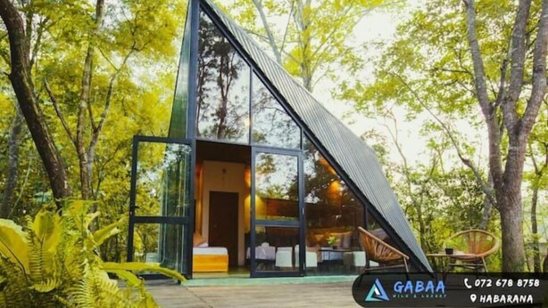 Uma estrutura de vidro triangular moderna, com entrada aberta, rodeada por vegetação exuberante.