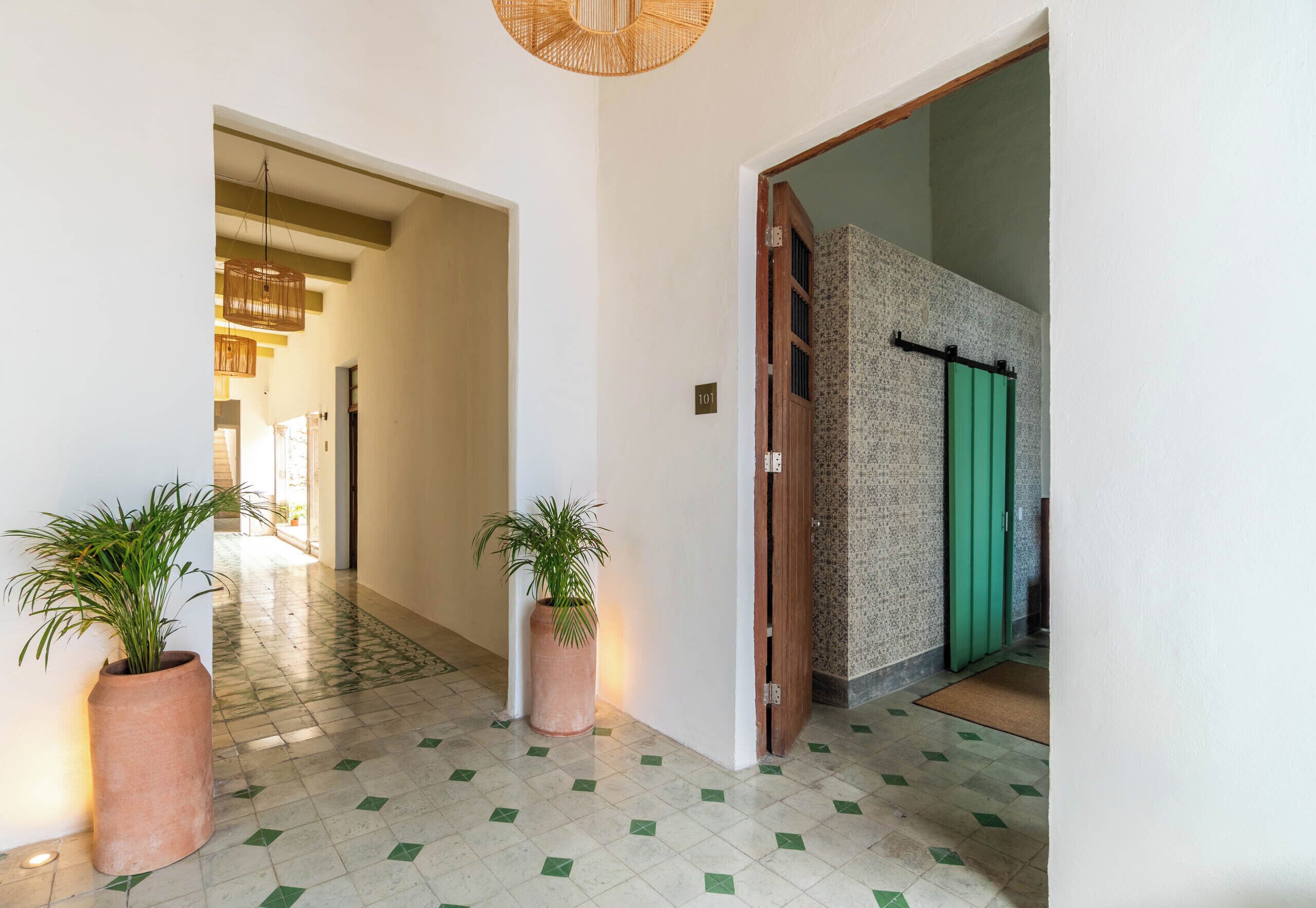 Un pasillo con piso de baldosas, dos plantas en macetas y una puerta con picaporte verde.