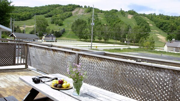 Una terraza de madera con una mesa de picnic, una cámara, un plato de fruta y flores.