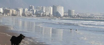 Departamento en Av del Mar, te espera!