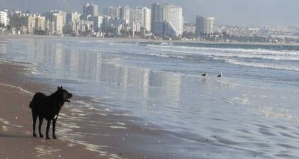 Departamento en Av del Mar, te espera!