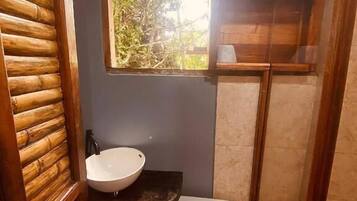 Shower, towels, toilet paper