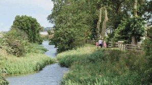 A narrow water channel flanked by lush greenery and a wooden fence.