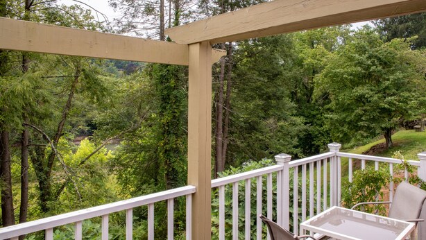 A wooden deck with a glass table and chairs, surrounded by lush greenery and trees.