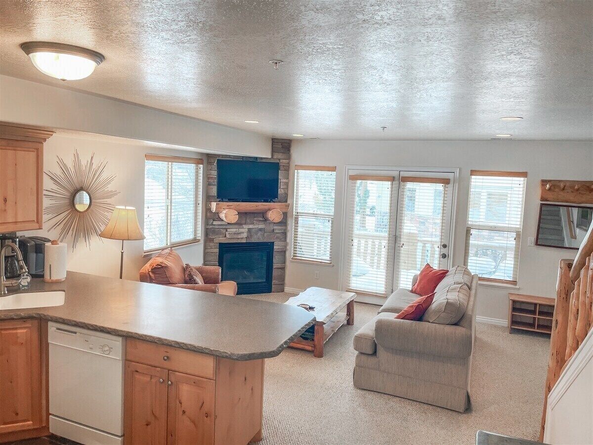 TV, fireplace, books