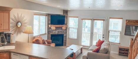 TV, fireplace, books