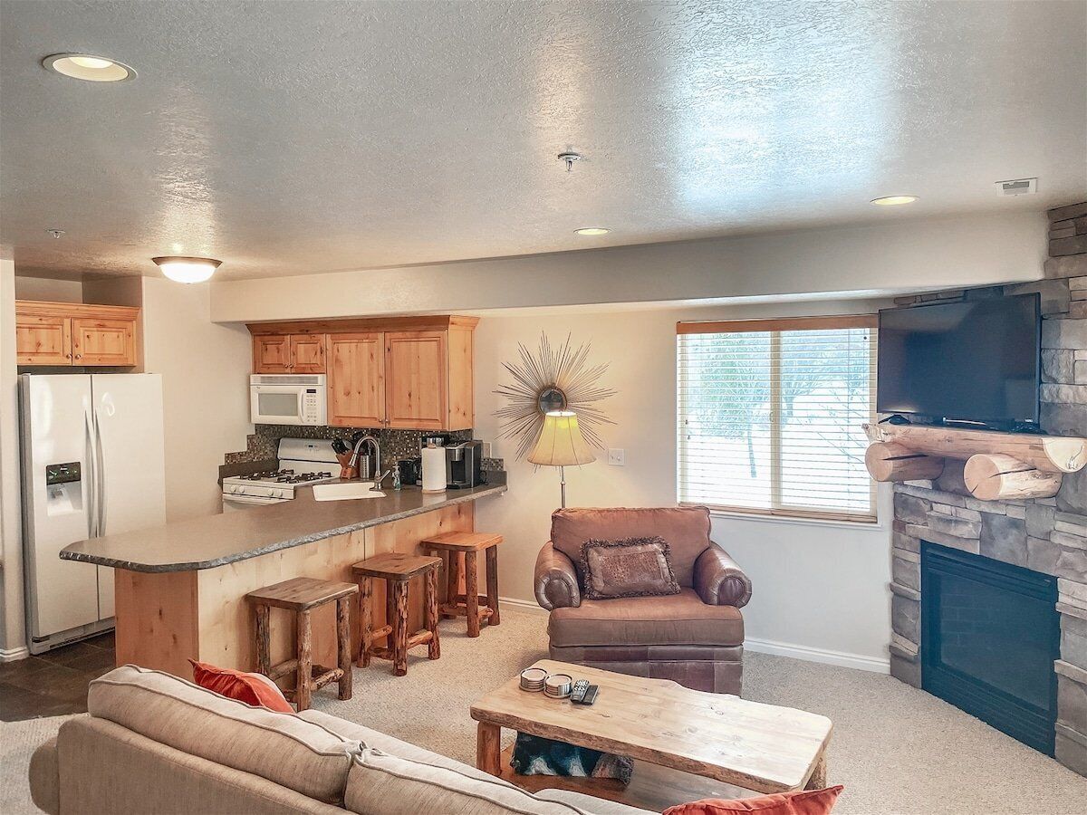 TV, fireplace, books