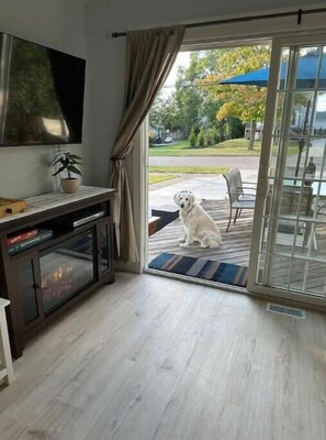 Smart TV, fireplace, DVD player, books