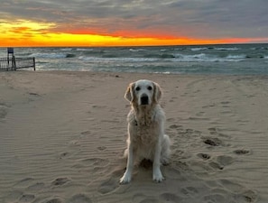 Playa en los alrededores