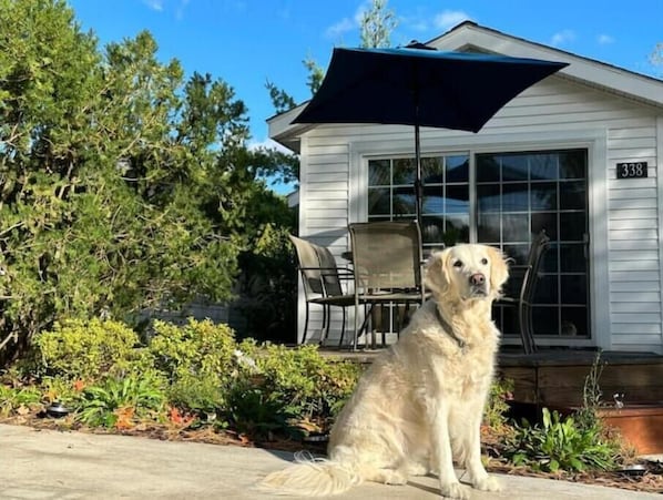 Outdoor dining - Dog Friendly Beach Cottage within a mile of town & 7 Lake Michigan beaches (South Haven)
